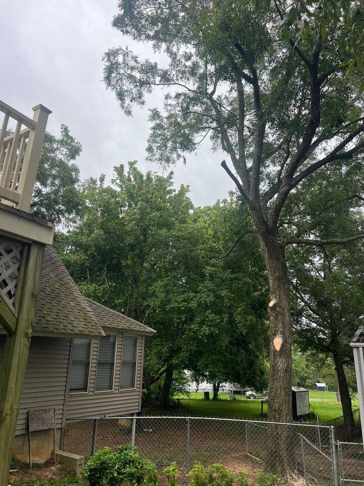 All Photos for Brooks Tree Service in Casar, NC