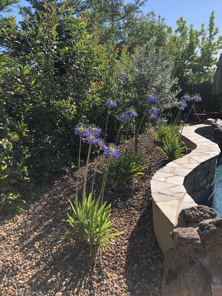 Enhance your home's curb appeal with our comprehensive exterior renovations. We specialize in transforming facades, driveways, and outdoor spaces to create a stunning first impression that adds value and beauty. for New Vision Landscape in Folsom, CA