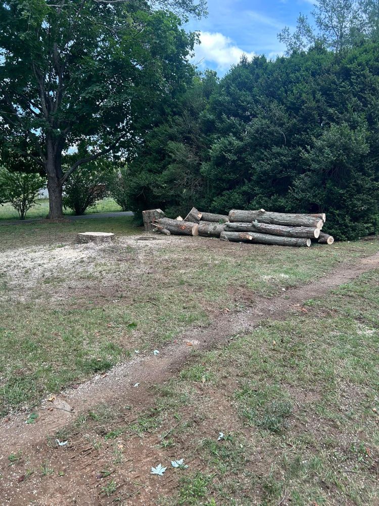 All Photos for NRV Tree Pro, LLC in Narrows, VA