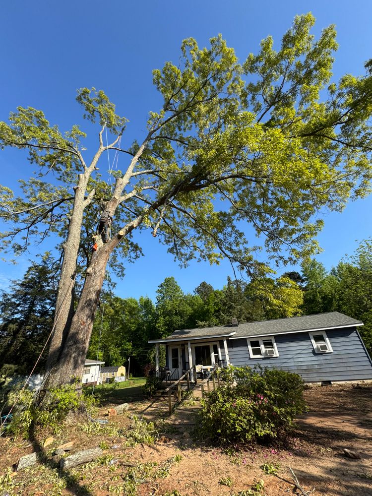 All Photos for Thin Green Line Landscaping & More in Laurens, SC