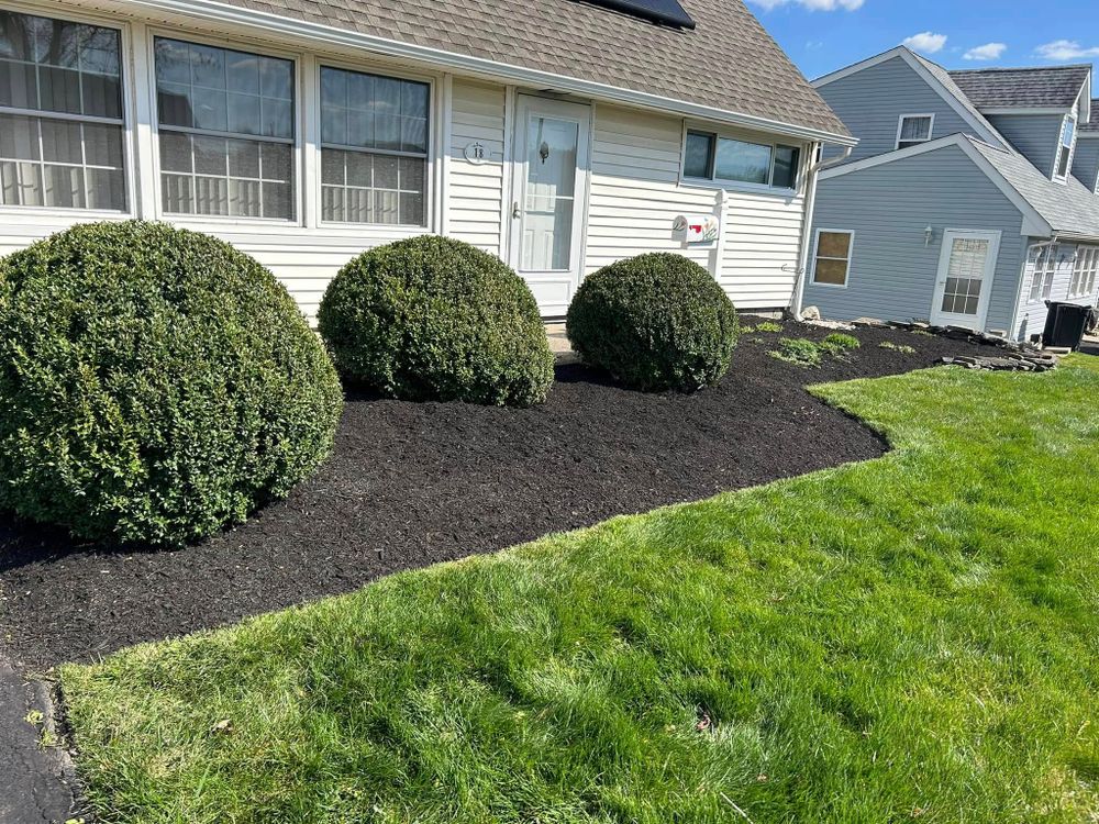 Our expert shrub trimming service enhances your landscape's beauty and health, ensuring precise shaping and maintenance to complement your home's aesthetics while promoting vigorous growth and curb appeal. for Russo’s Landscaping & Tree Removal in Levittown, PA