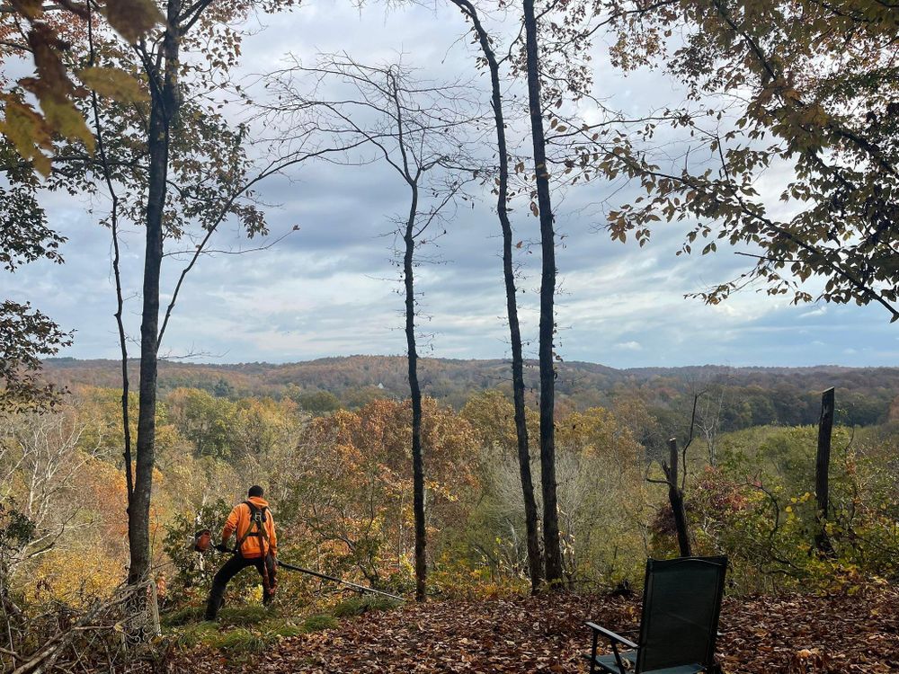 All Photos for Ross Family Tree Service LLC  in Hohenwald, TN