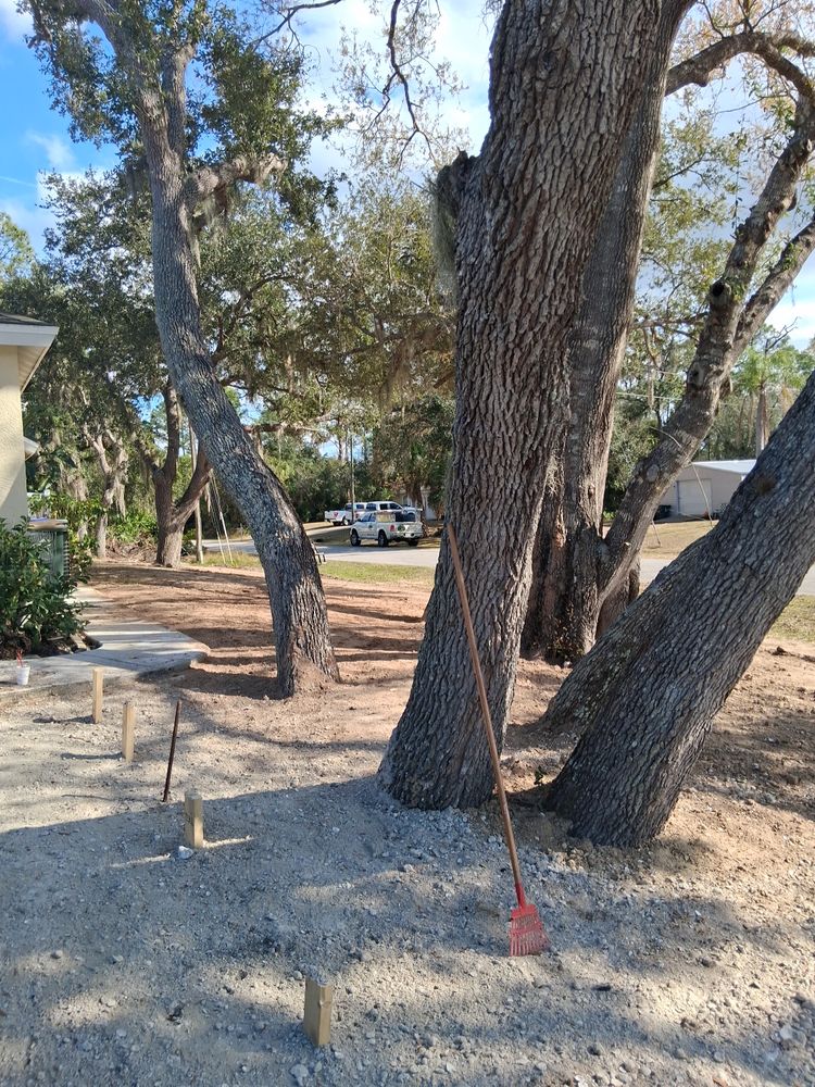 All Photos for Nick of Time Tree Service in North Port, FL
