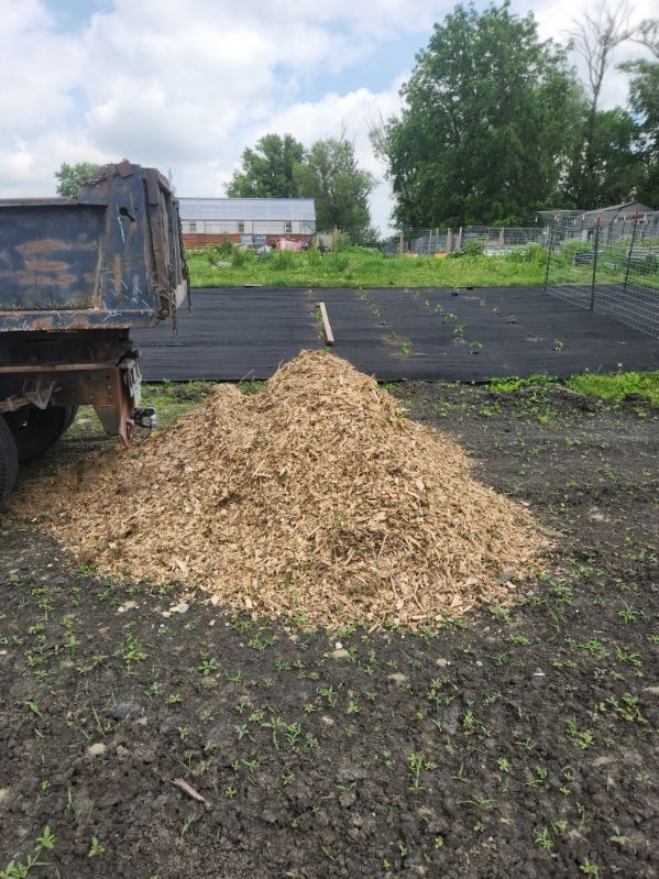 All Photos for Precision Excavating and Septic in Madrid, IA