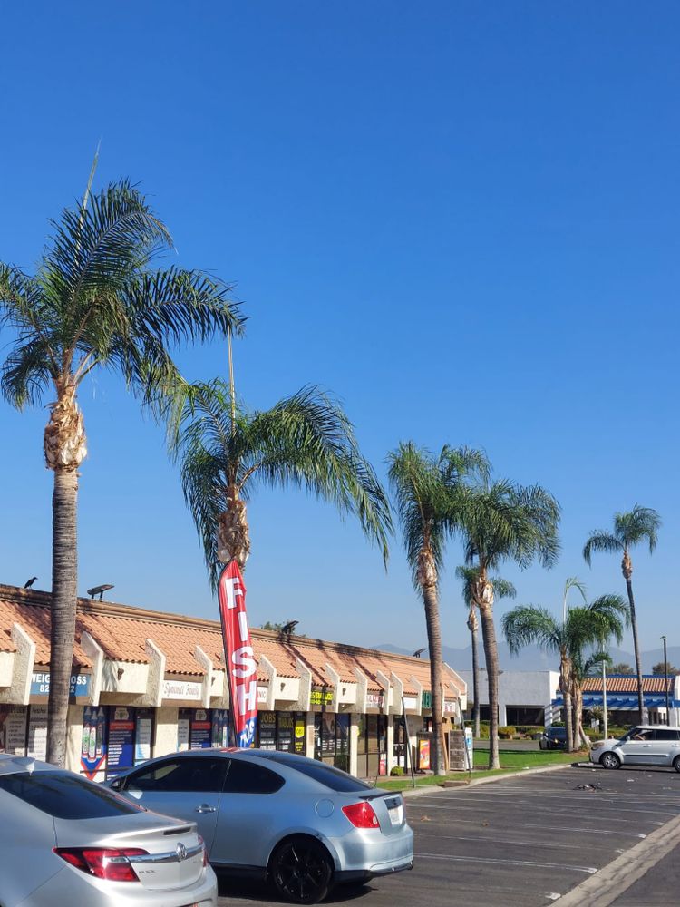 Enhance your home's curb appeal with our comprehensive Property Maintenance service, including cleaning services that ensure your landscaping and hardscaping remain pristine, healthy, and visually captivating all year round. for Best Lawncare in Colton, CA