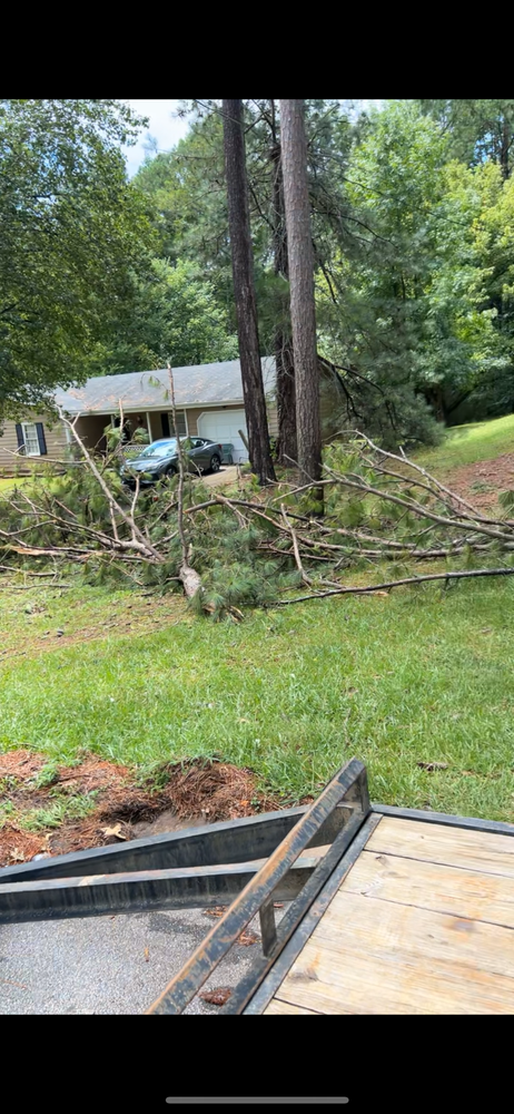 All Photos for WD Lawn Services in Loganville, GA