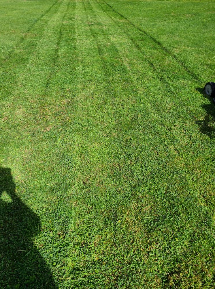 Lawn Care for Bob's Yard Care & Landscaping in Raymond, WA