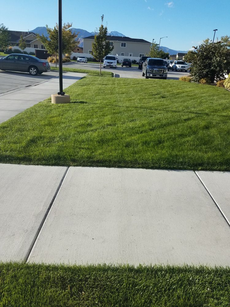 All Photos for Platinum Lawn Service in Santaquin, UT