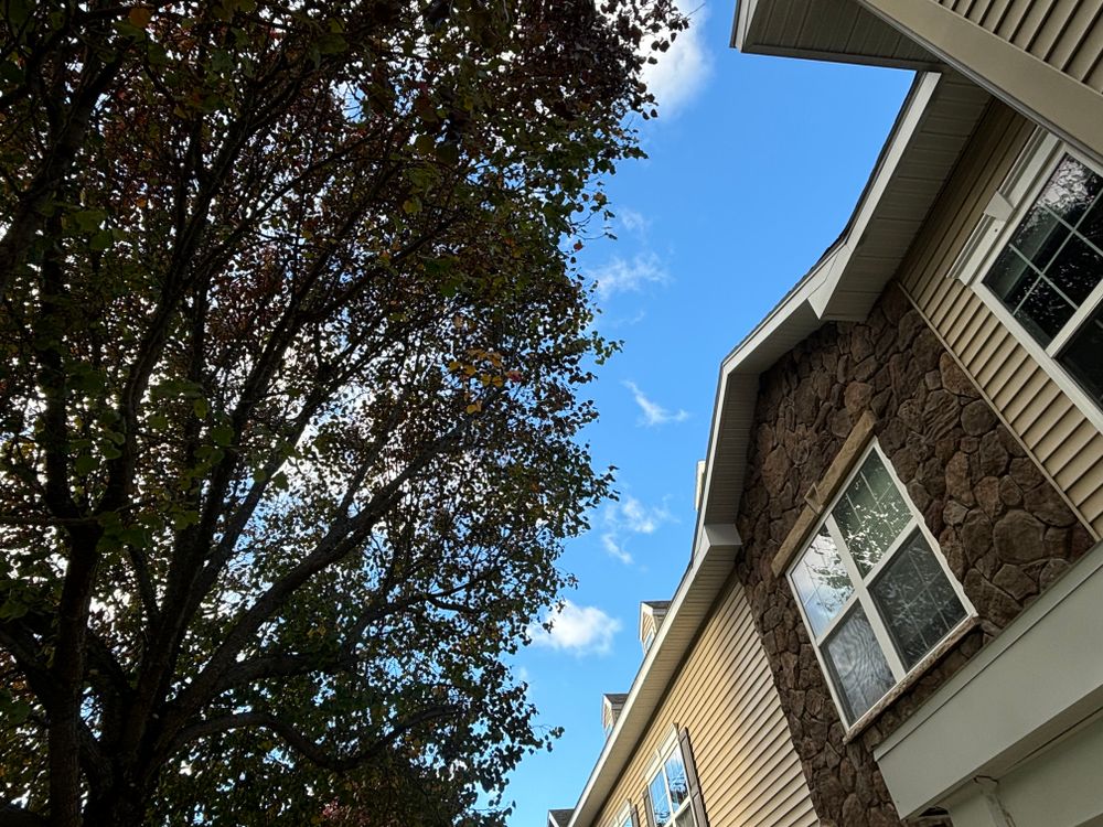 All Photos for T's Trees in Albany, NY