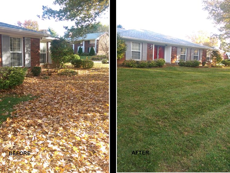 All Photos for Castillo’s Lawn Care in Monroe, GA