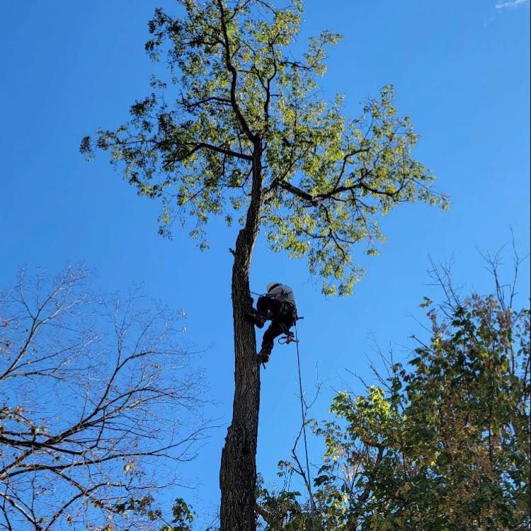 All Photos for NRV Tree Pro, LLC in Narrows, VA