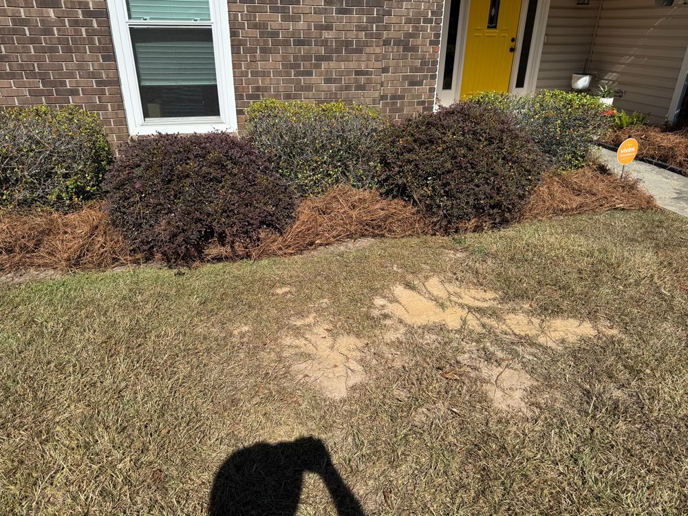 All Photos for Camalett Services in Perry, GA