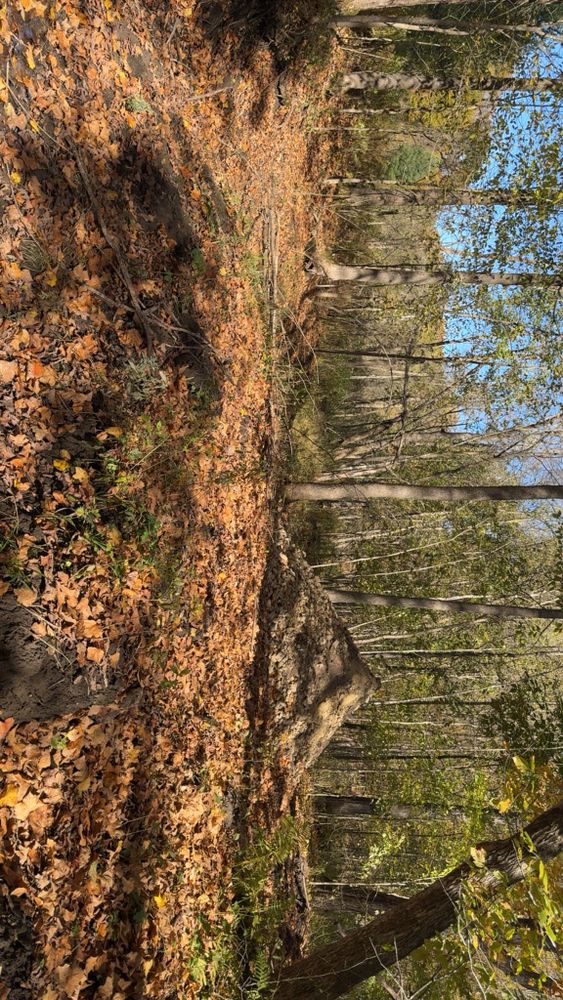 All Photos for H&R Land Services and Excavating in Eau Claire,  WI