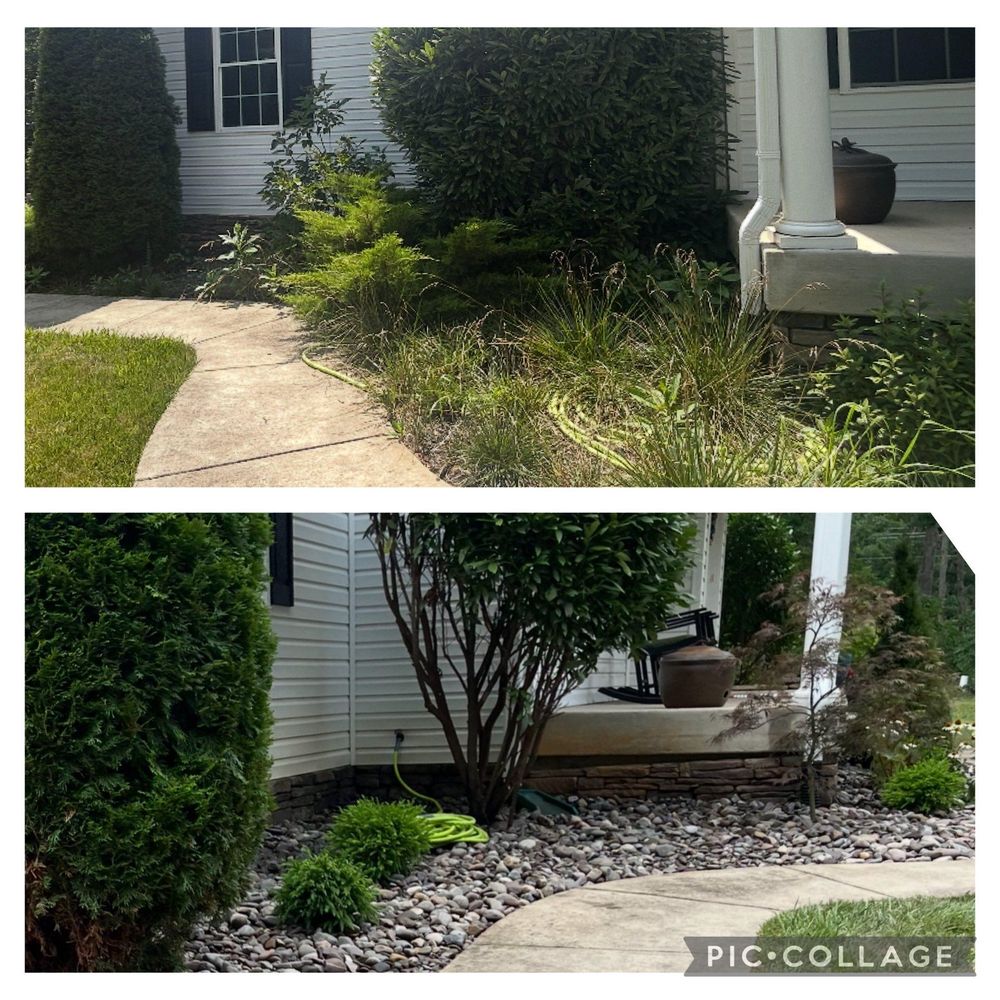 All Photos for Branch Out Tree Care LLC in Fredericksburg, VA