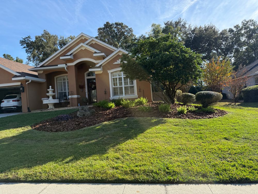 All Photos for Amerigrown Tree And Lawn in Apopka, FL