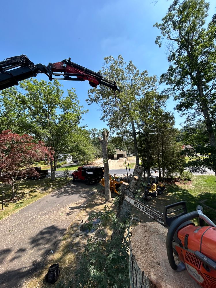 All Photos for Hingewood Tree Service in Salem, NJ