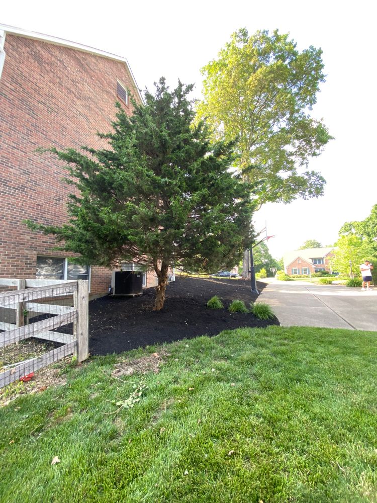 All Photos for Castle JR Landscaping & Painting LLC in Cincinnati, OH