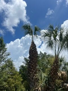 All Photos for Perfect MOs Landscaping in Hudson, FL