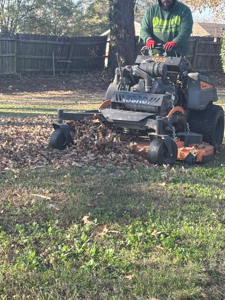 All Photos for Kingdom Landscaping in Memphis, TN