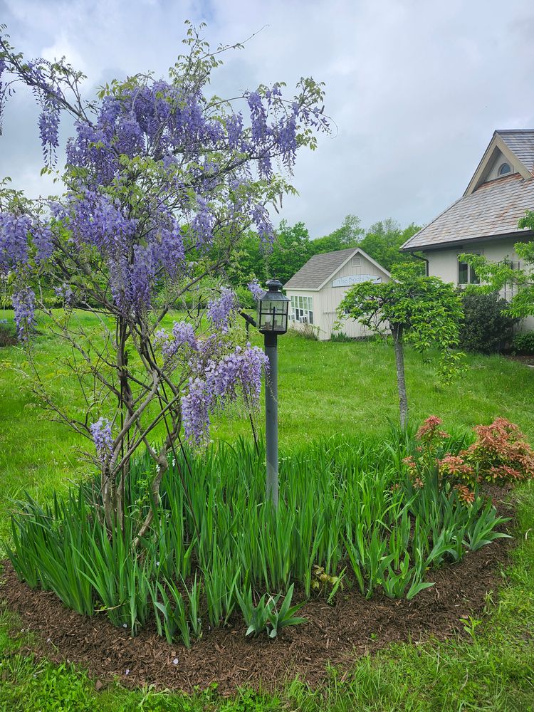 All Photos for Landscape Innovations LLC in Torrington, CT