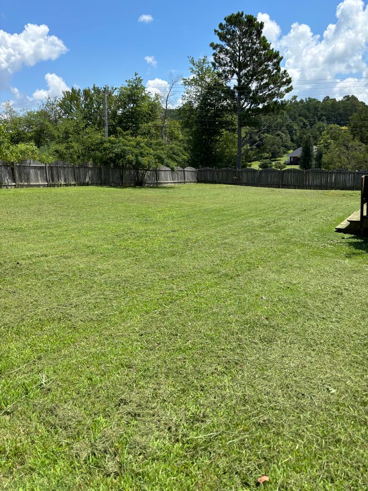 All Photos for SEALY TREE and LAWN in Cleveland, TN