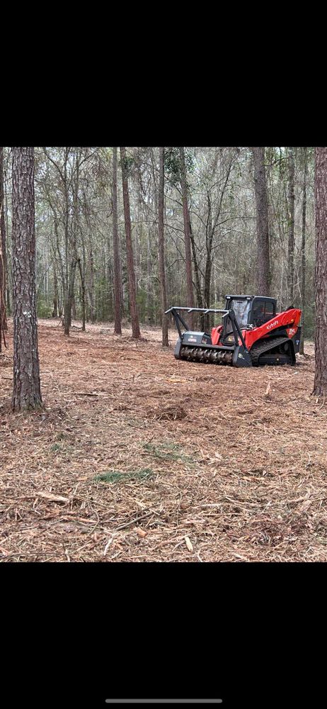 Tree Removal for Thompson Forestry Mulching & Stump Grinding in Douglas, GA