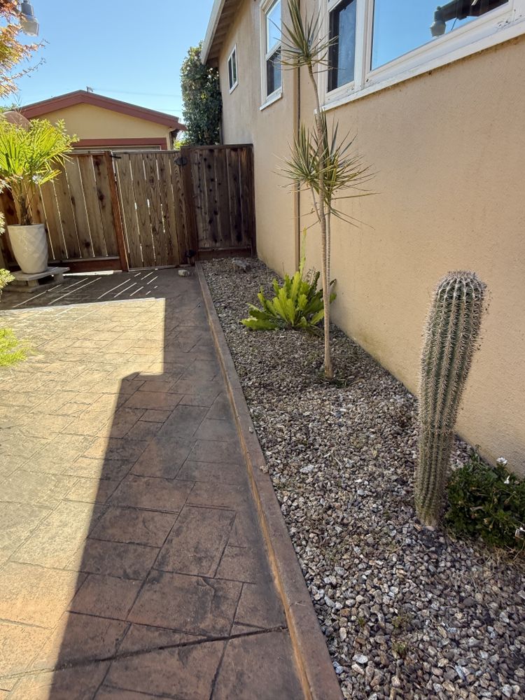 All Photos for CBA Landscaping in Hayward, CA
