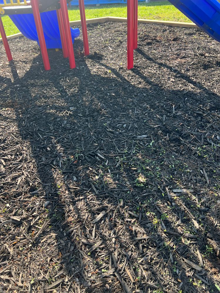 All Photos for Williams Brothers Landscaping & Construction in Atlanta, GA