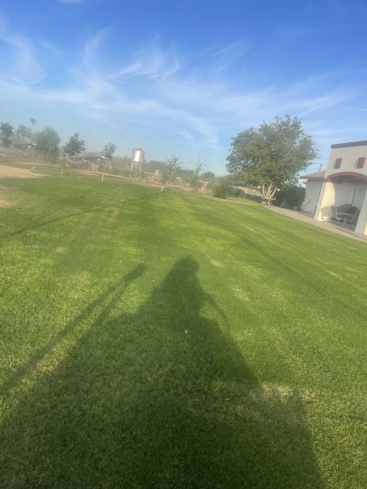 Commercial Lawn Maintenance for American Dream Landscape Company in Surprise, AZ