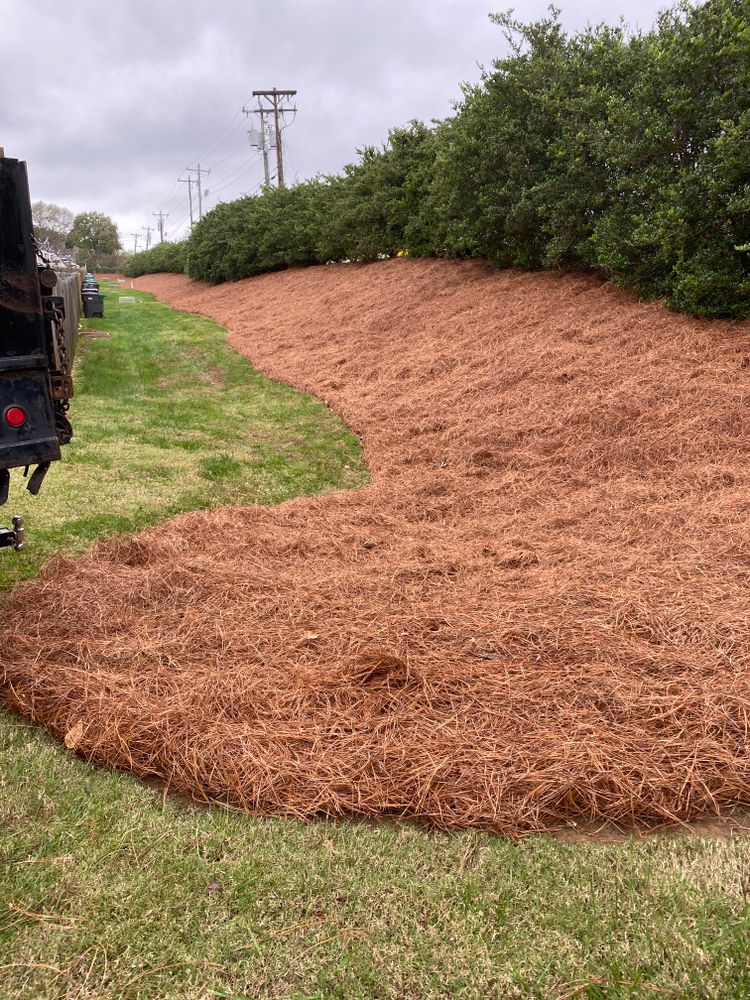 Pine Needle Installation for Dream Cuts Landscaping and Lawn Care LLC in Gastonia, NC