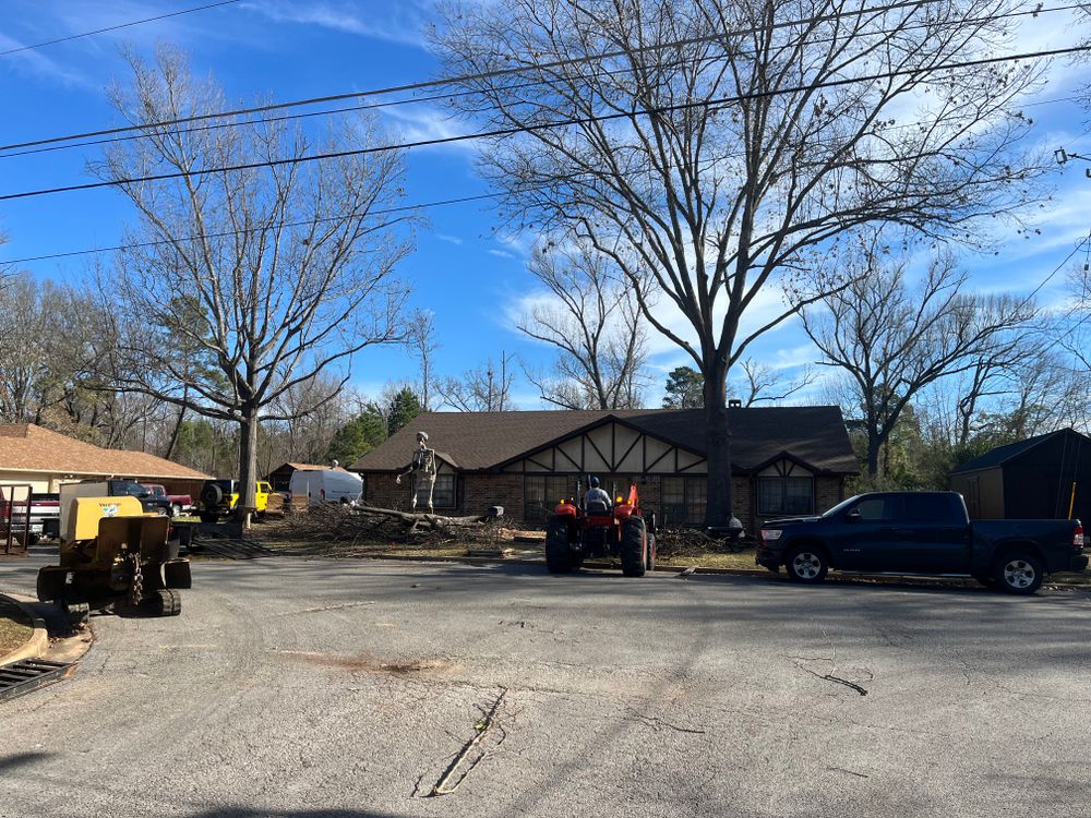 All Photos for JC Land and Tree Service in Kilgore, TX