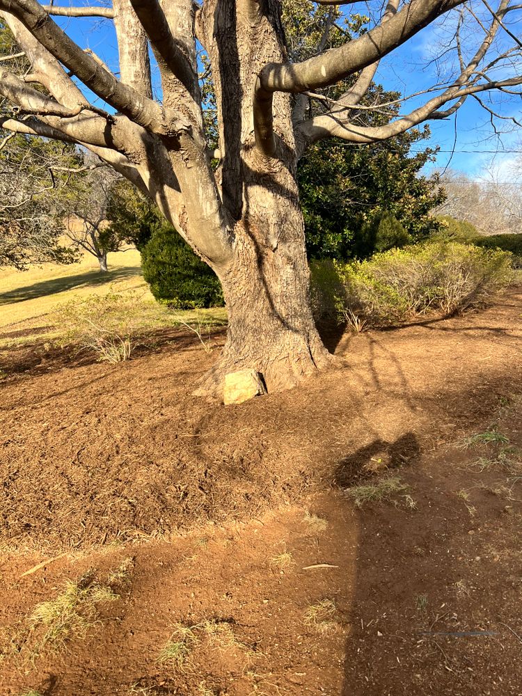 All Photos for Valencia’s Lawncare in Charlottesville, VA