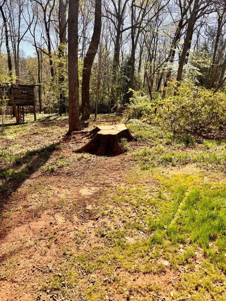 experience a cleaner, safer property with our debris removal service, part of our comprehensive tree removal service. We efficiently clear unwanted materials to create an open and appealing landscape for your home. for Freedom Landscaping in Travelers Rest, SC