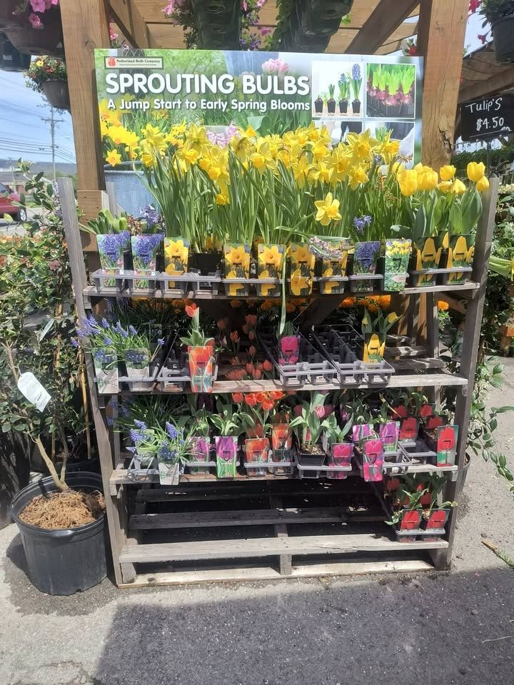 All Photos for Starnes Hardscapes & Property Management LLC in Dunlap, TN