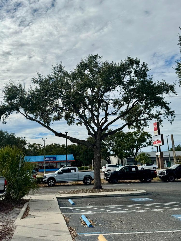 All Photos for Shoreside Property Services in Apollo Beach, FL