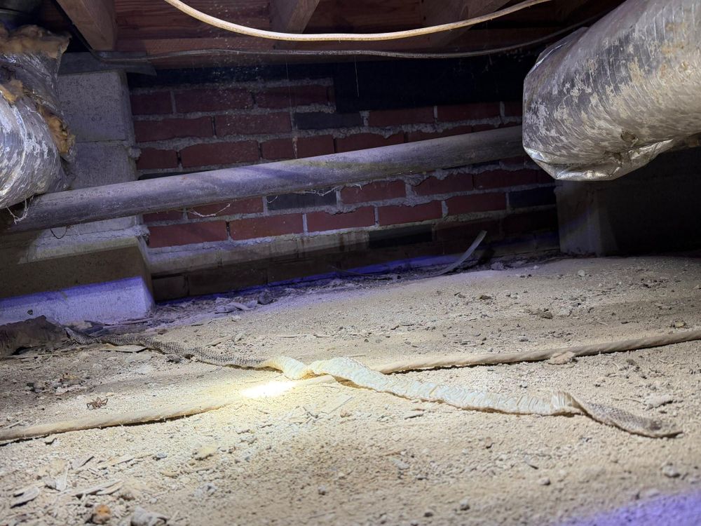 All Photos for VIP Plumbing in Cannon, GA