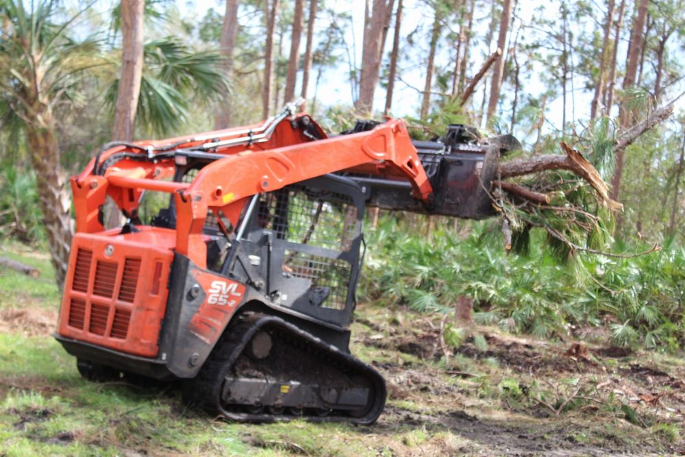 Tree Removal for American Tree Masters in Alvin, TX