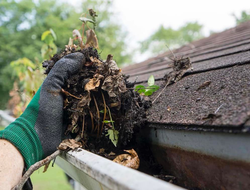 All Photos for Shaffer Solutions in Manchester, TN