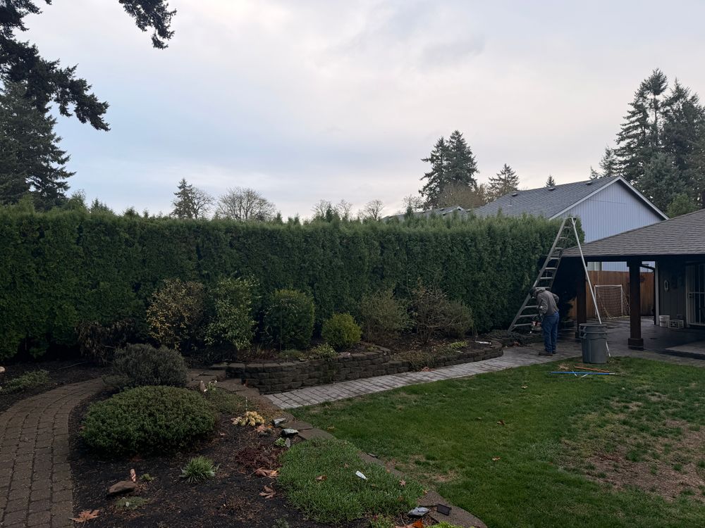 All Photos for Churape And Son's Landscaping in Vancouver, WA