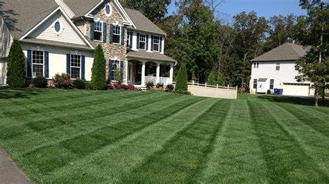 Lawn Care for Adan landscaping 11 inc in Chicago, IL