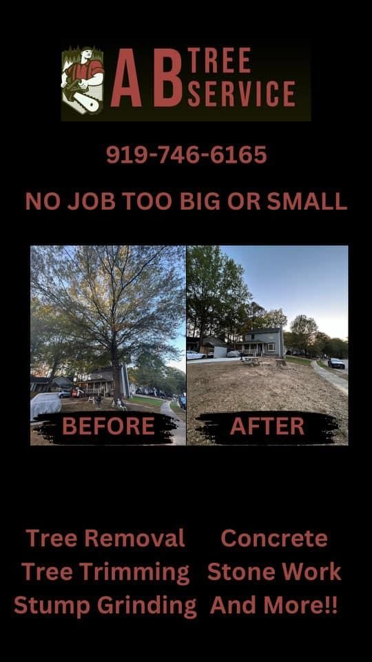 All Photos for AB Tree Service in Raleigh, NC