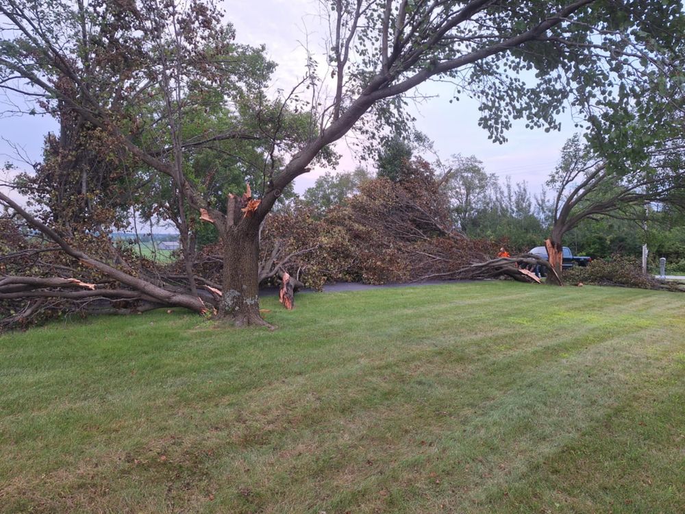 Emergency Storm Work for Highborn Tree Service in Wheatfield, IN
