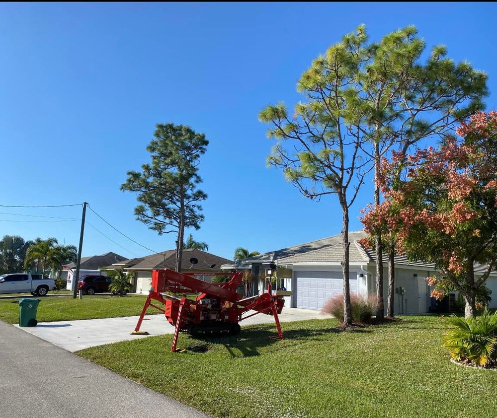 Tree Removal for MX Trees LLC in Englewood, FL