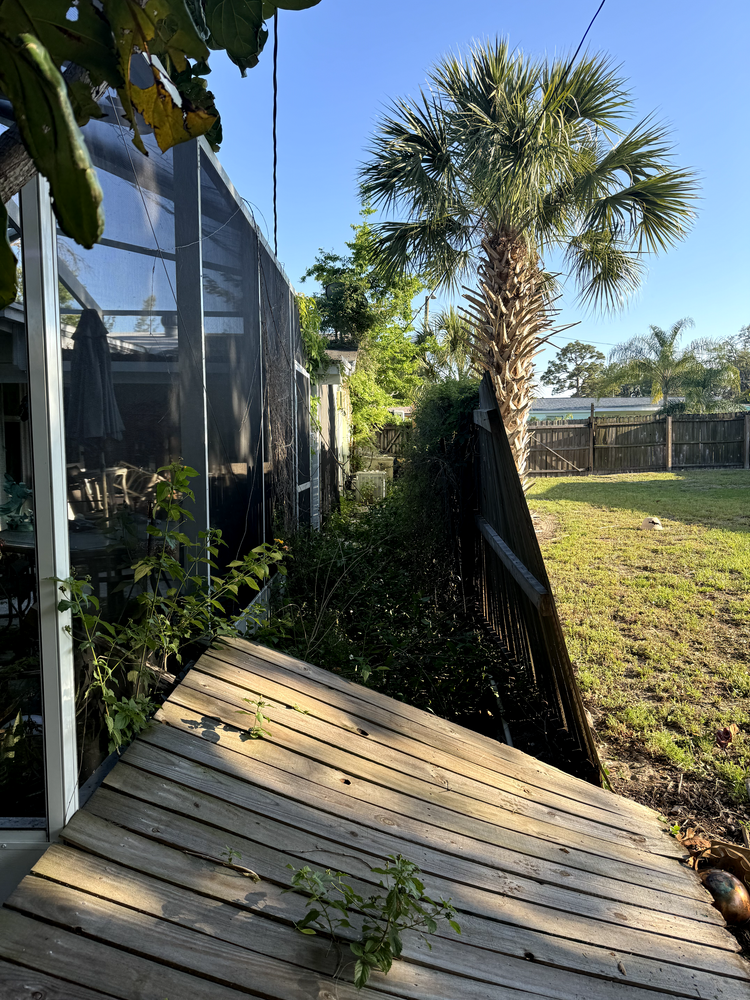 All Photos for Elevation Tree Service in Holiday, FL