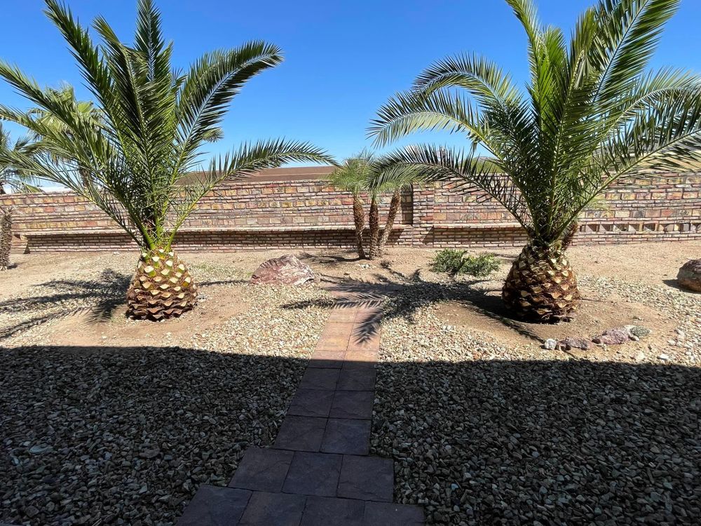 All Photos for Oliver L. Palm & Tree services in Yuma County, AZ