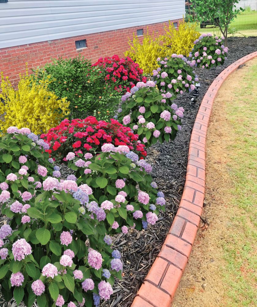 All Photos for Professional Edge in Deep Run, NC