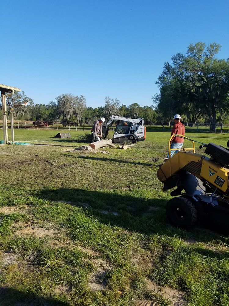 All Photos for Daniel Hickey’s Tree Service in DeLand, FL