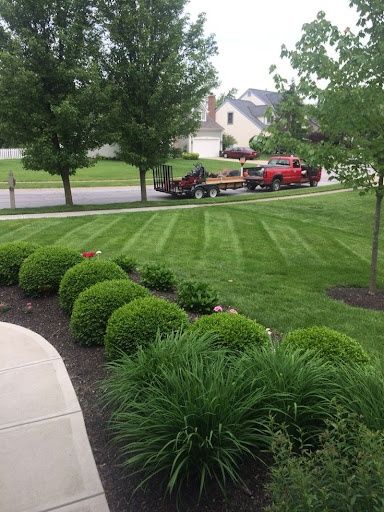 All Photos for Nunez Concrete & Landscape LLC in Tampa Heights, FL