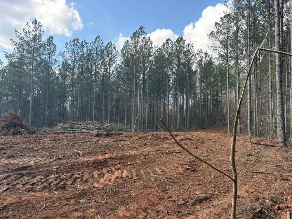 All Photos for Grading & Clearing Services in Dawsonville, GA