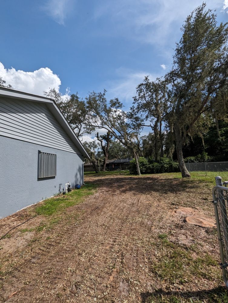 All Photos for Regal Tree Service and Stump Grinding in Wauchula, FL